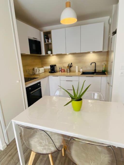 Le Saint Hilaire *T2* Apartment Orleans Bagian luar foto