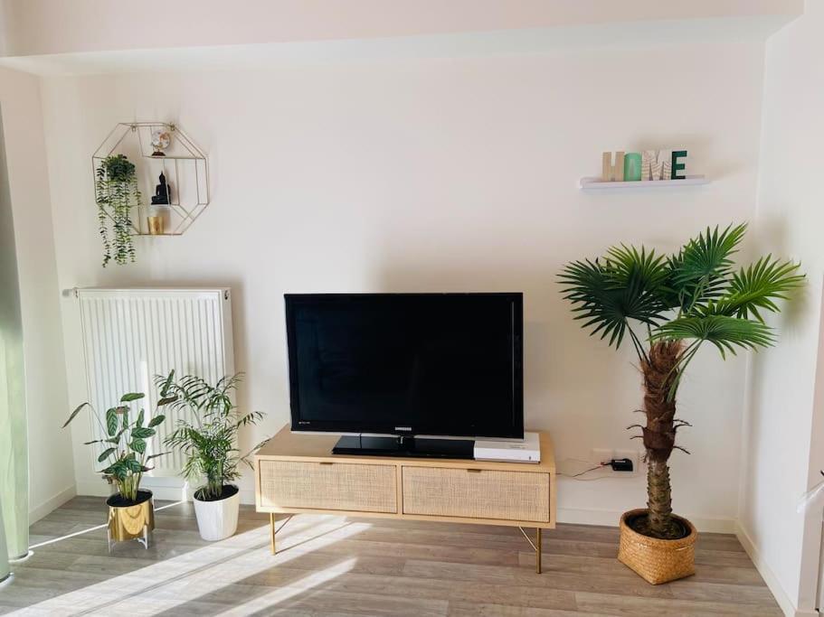 Le Saint Hilaire *T2* Apartment Orleans Bagian luar foto